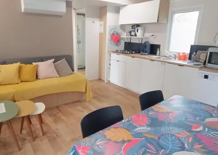 Oleron Mobil Climatise Confort 50 M De L'ocean Au Cap Soleil Camping *